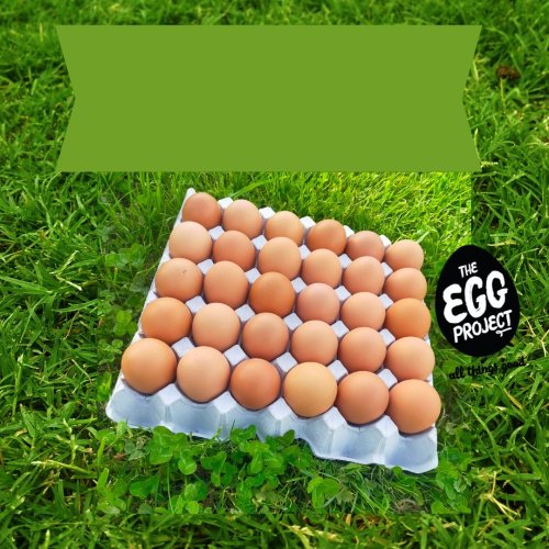 30 Free Range Eggs - Size 7